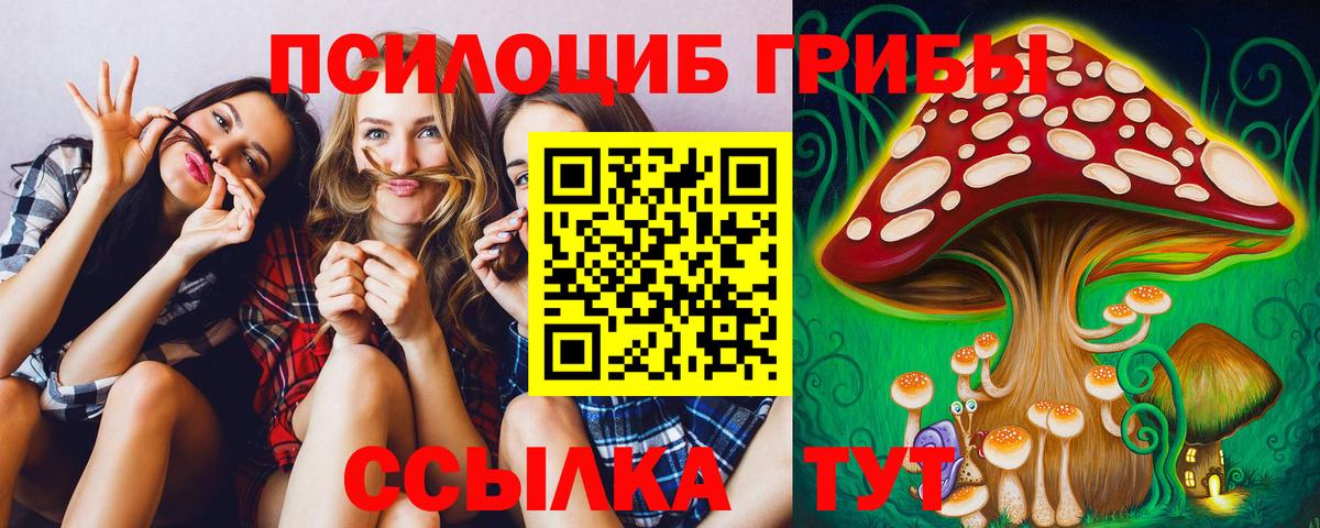 наркота  Галлюциногенные грибы мицелий  Вход с VPN  Озёрск  Галлюциногенные грибы прущие грибы 