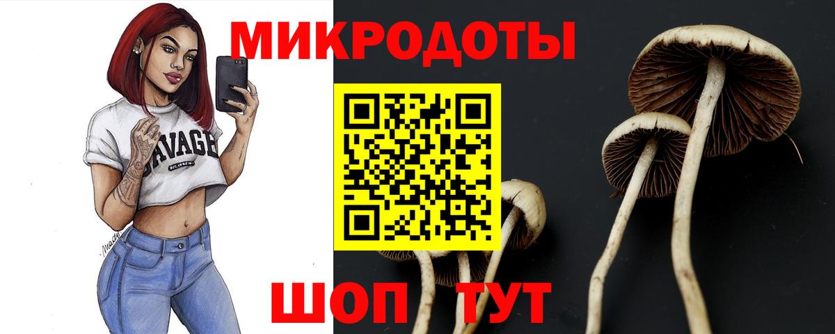Псилоцибиновые грибы мицелий Озёрск
